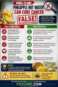 Pineapple Hot Water Does NOT Cure Cancer