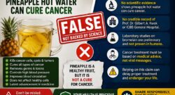 Pineapple Hot Water Does NOT Cure Cancer: Fact-Checking a Dangerous Viral Claim